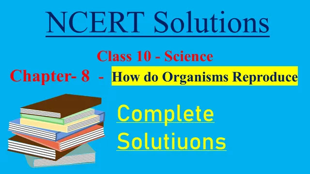 NCERT Solutions for Class 10 Science Chapter 8